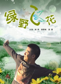 完结高清影视