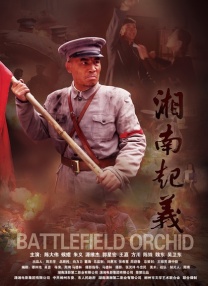 高清蓝光在线观看